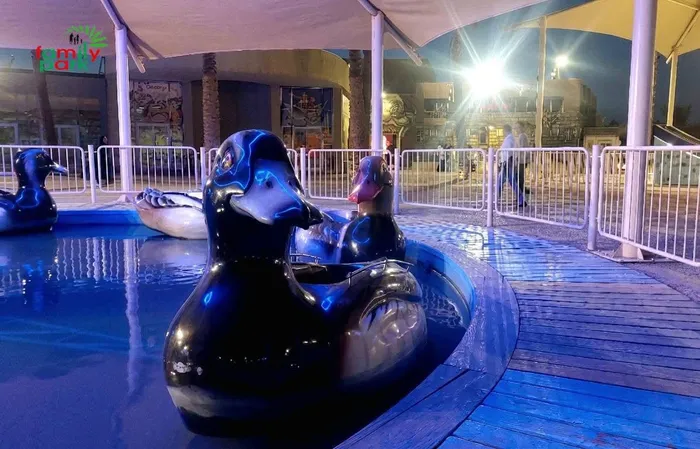 البطة